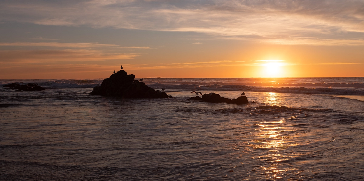 Seal Rocks RV Cove — photo 8