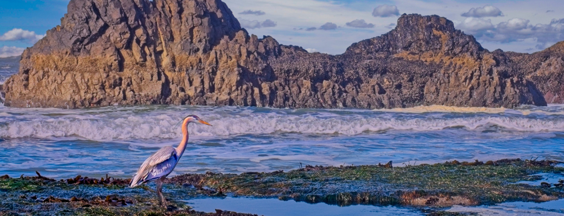 Seal Rocks RV Cove — photo 3